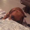 edin.karyn Altpins Profile Picture