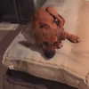 edin.karyn Altpins Profile Picture