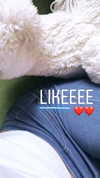 villarlydia Altpins Profile Picture