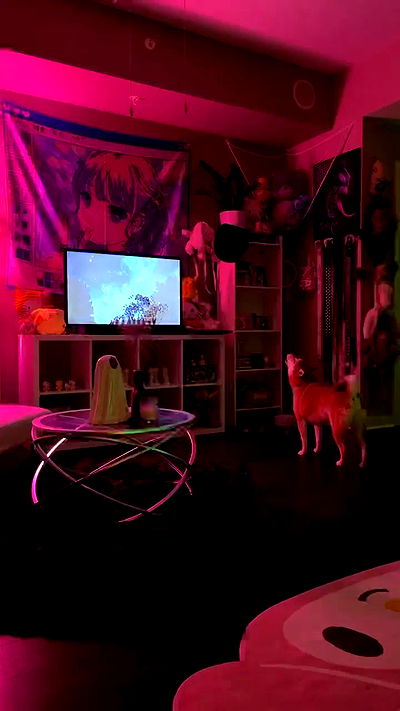 zommmbri zommmbri archive video