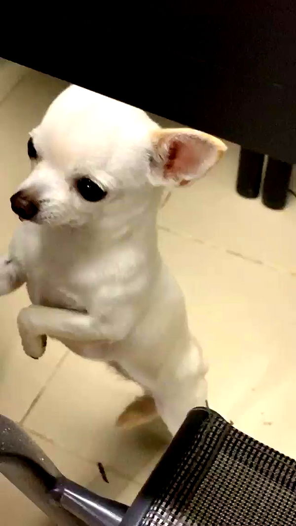 itaheden archive video preview