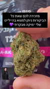 elohim_adirim Altpins Profile Picture