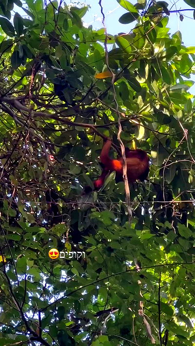 yasmin_kb yasmin_kb archive video