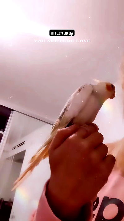 tinapavlov.sky tinapavlov.sky archive video