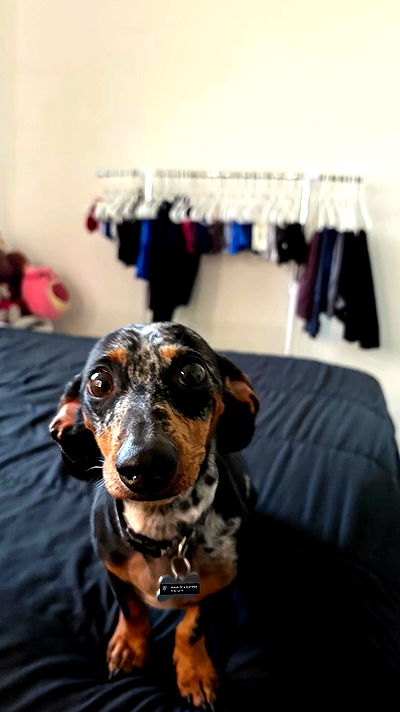 lesliem4rtinez lesliem4rtinez archive video