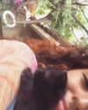 edin.karyn Altpins Profile Picture