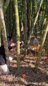 dianavgalvis Altpins Profile Picture