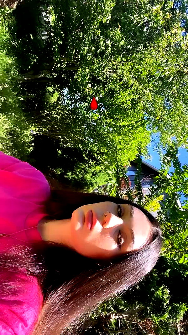 sorryiatetheapple archive video preview