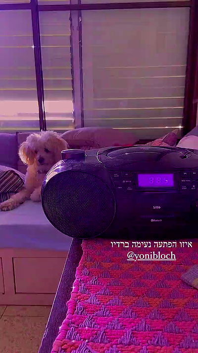 feelbetterinmysweater feelbetterinmysweater archive video