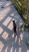 lejinfan Altpins Profile Picture