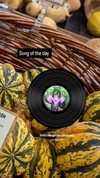 zz.eazoning Altpins Profile Picture