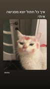 1.lostloli Altpins Profile Picture