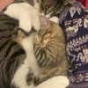 edin.karyn Altpins Profile Picture