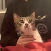edin.karyn Altpins Profile Picture