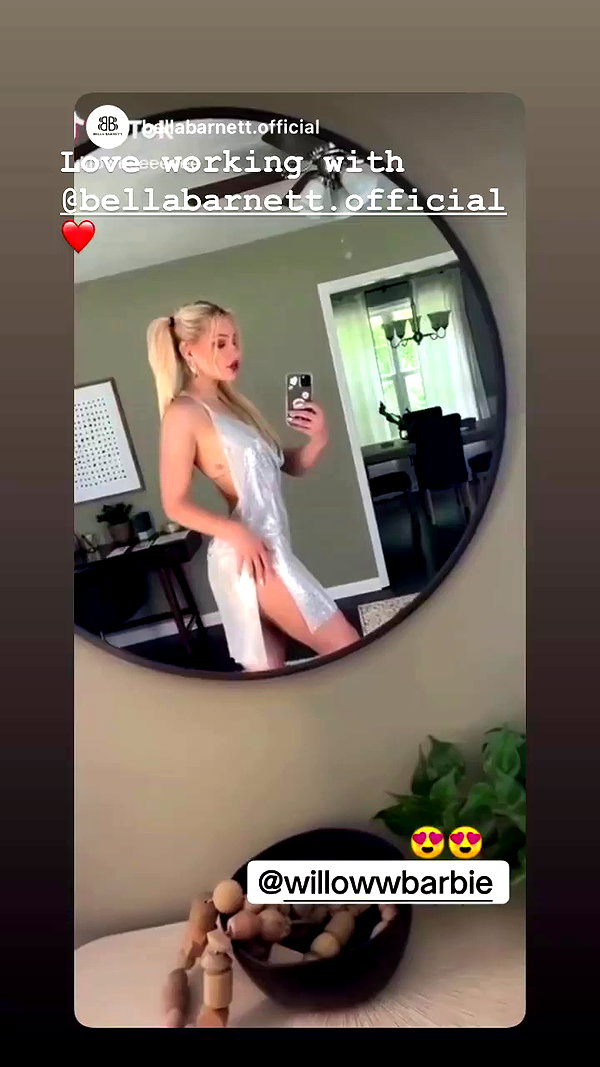 willowwbarbie archive video preview