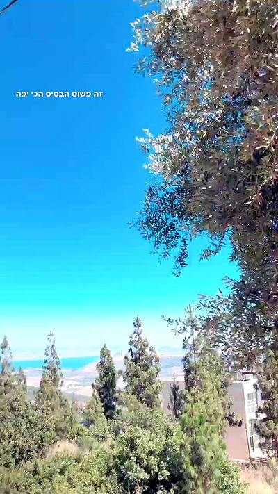 yaelxyazdi yaelxyazdi archive video