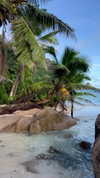 noa_mendel_ Altpins Profile Picture