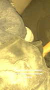 katie_westwood Altpins Profile Picture