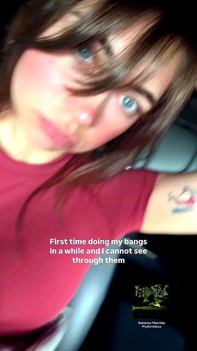 haylujan haylujan archive video