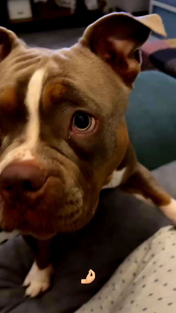 kesemgreenyer archive video preview