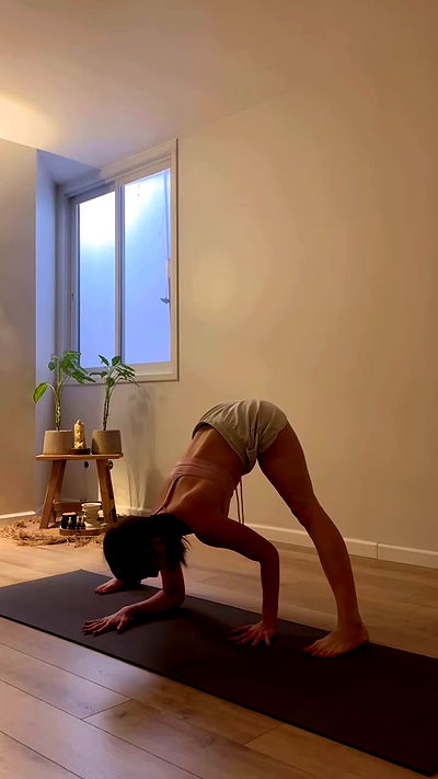 talweisswasser talweisswasser archive video