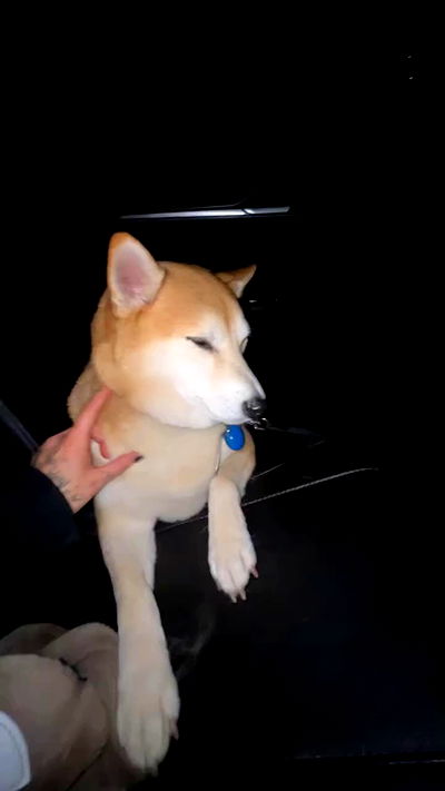 zommmbri zommmbri archive video