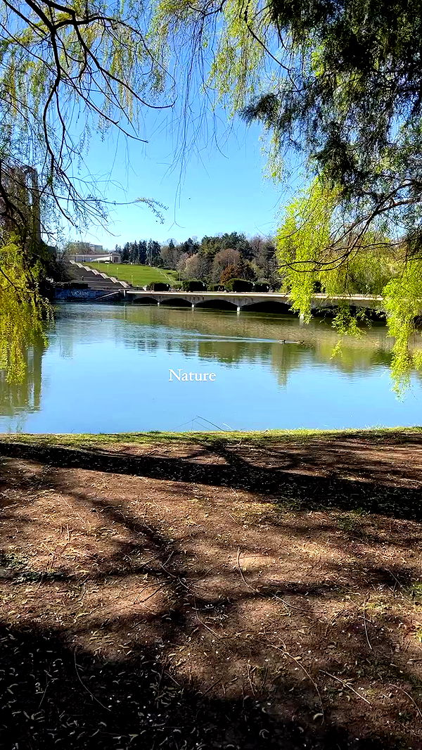 topaz_bn archive video preview