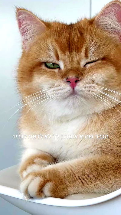 itsilanosh itsilanosh archive video