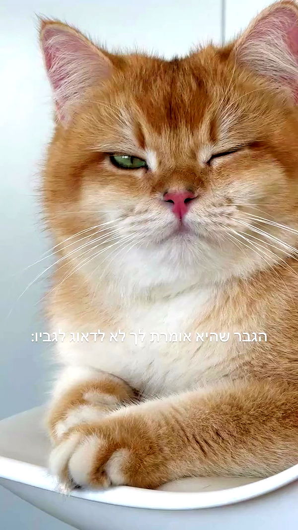 itsilanosh archive video preview