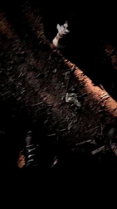 aekamee aekamee archive video