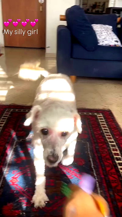 feelbetterinmysweater feelbetterinmysweater archive video