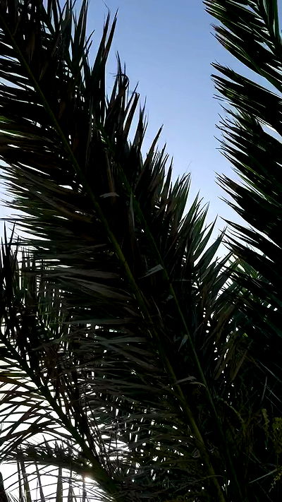 talweisswasser talweisswasser archive video