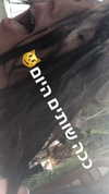 yasmin_hen Altpins Profile Picture