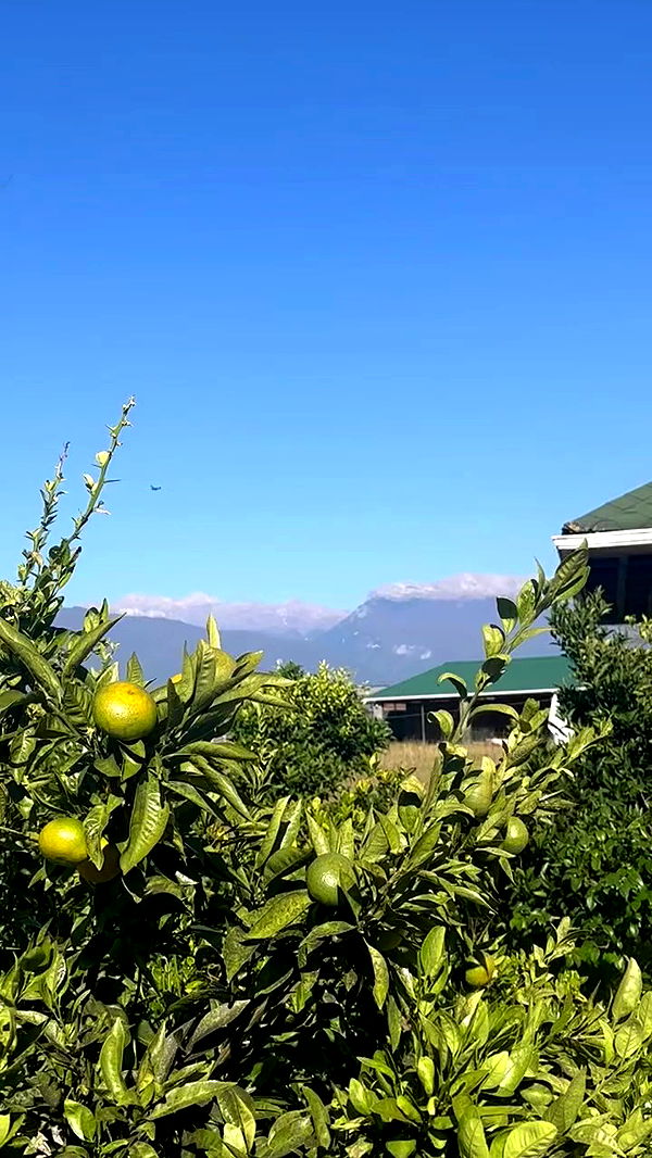 nyityam archive video preview