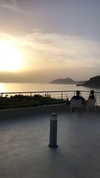 dana_michaeli_ Altpins Profile Picture