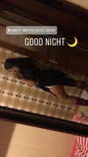 yasmin_hen Altpins Profile Picture