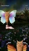 cellow111 Altpins Profile Picture
