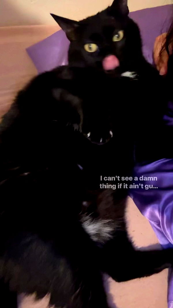 hellokittyangel666 archive video preview