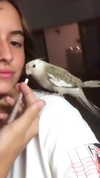 liem_sadan Altpins Profile Picture