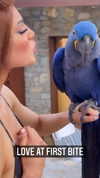 kristenhancher Altpins Profile Picture