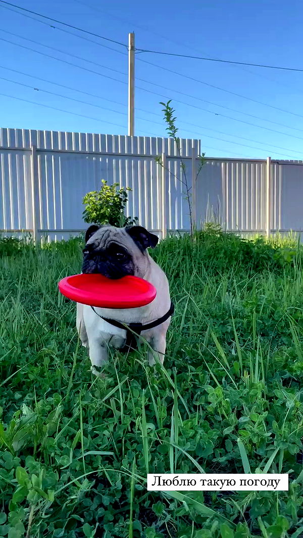 nyityam archive video preview