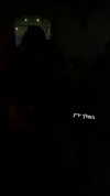 _lironatias Altpins Profile Picture