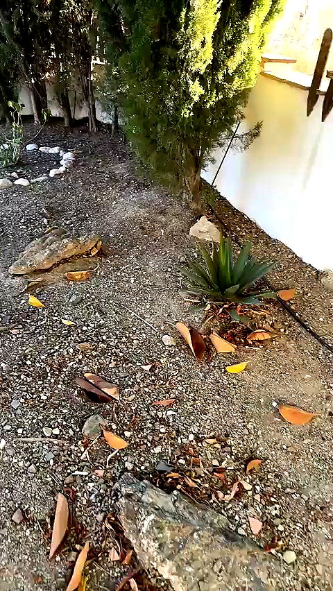 mathilda_bergs archive video preview