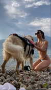 elebertoli Altpins Profile Picture