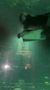 noam_alon1 Altpins Profile Picture