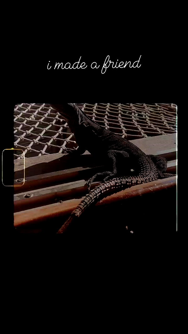 kristenhancher archive video preview