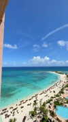 noam_alon1 Altpins Profile Picture