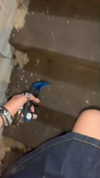 nicoleviado Altpins Profile Picture