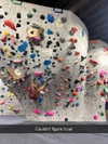 cclaire.bbear1 Altpins Profile Picture
