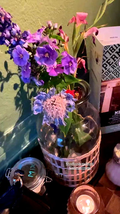 bakedsloths bakedsloths archive video